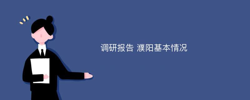 调研报告 濮阳基本情况