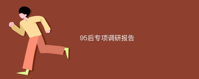 95后专项调研报告