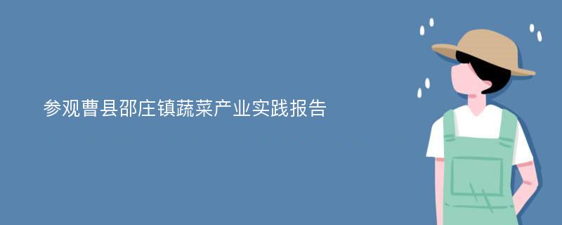 参观曹县邵庄镇蔬菜产业实践报告