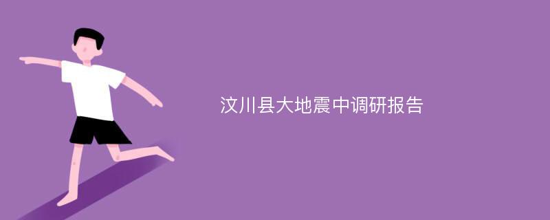 汶川县大地震中调研报告