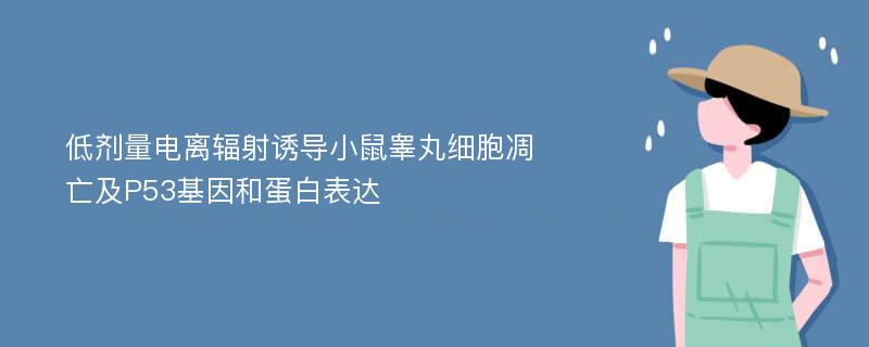 低剂量电离辐射诱导小鼠睾丸细胞凋亡及P53基因和蛋白表达