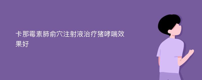 卡那霉素肺俞穴注射液治疗猪哮喘效果好