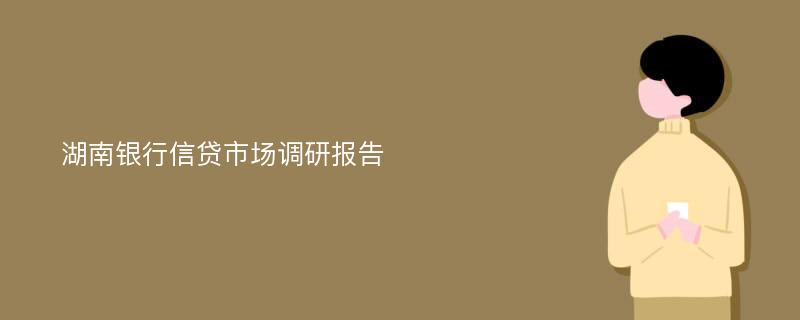 湖南银行信贷市场调研报告