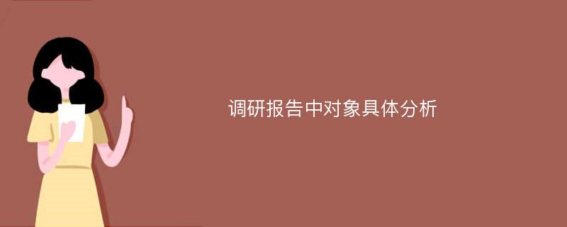 调研报告中对象具体分析