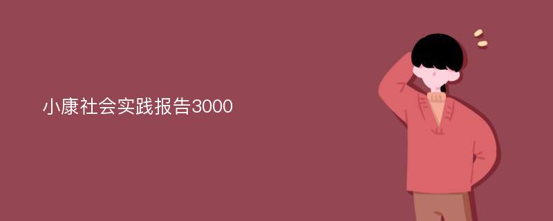 小康社会实践报告3000