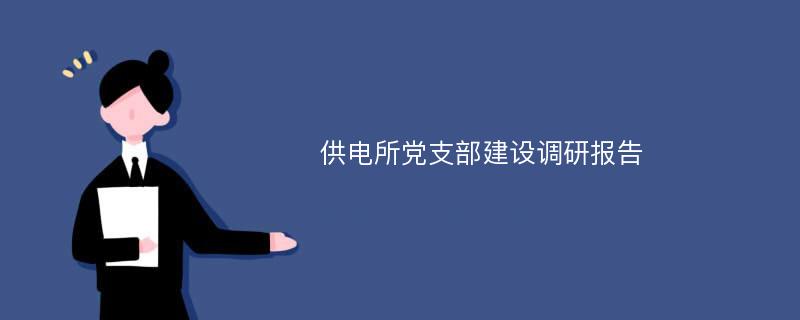 供电所党支部建设调研报告