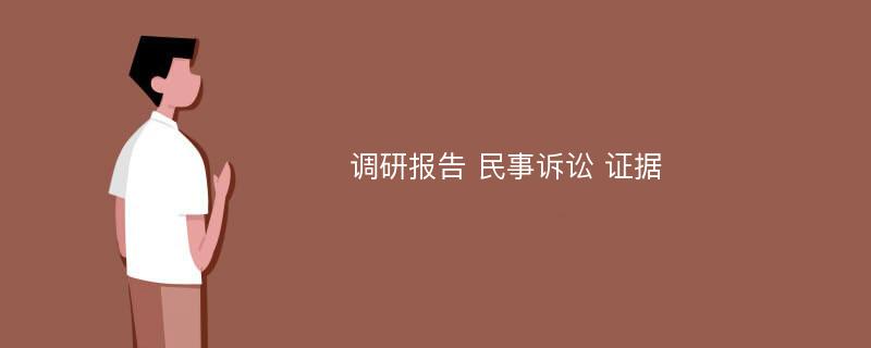 调研报告 民事诉讼 证据